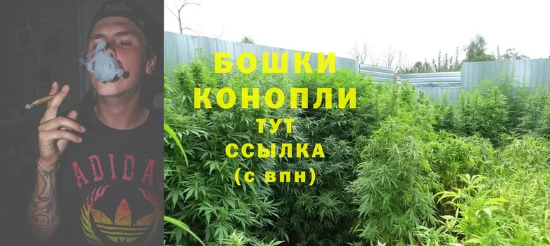 мега сайт  цена   Гороховец  Канабис THC 21% 